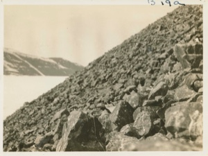 Image of Talus, breeding place of Dovekie
